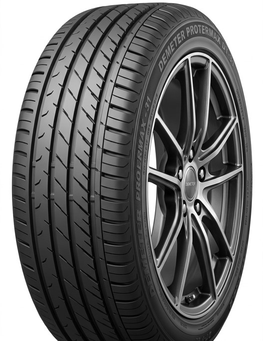 PROTERMAX DT-31